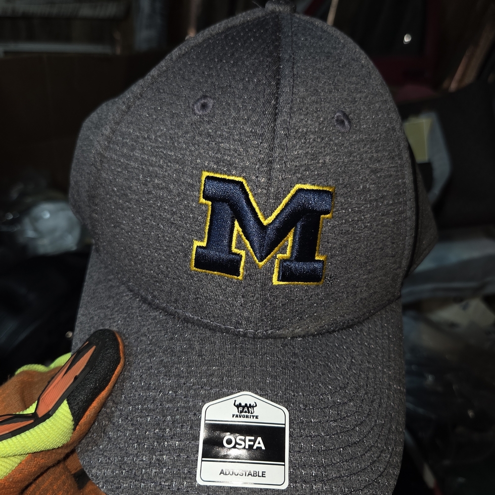 Michigan Wolverines Fan Favorite Hat. New.